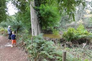 La Réserve du Courant d'Huchet au Lac de Léon