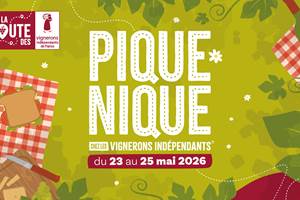 Pique nique vigneron
