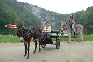 Promenade en libre montées et attelées