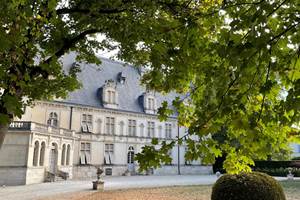 Château de Montigny-sur-Aube en automne
