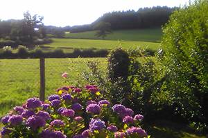 VUE SUR LA CAMPAGNE