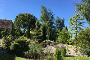 jardin printemps