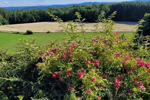 vue du gîte