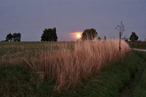 Lever de lune sur Falmagne