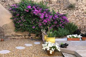 Hotel pool garden Marseillan
