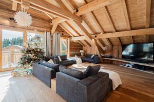 espace salon chalet clémence