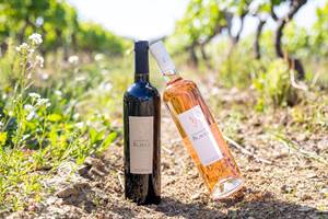 Domaine du Blavet