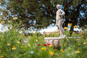 Petite fée du jardin