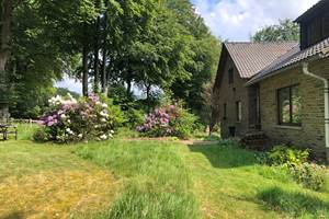 Jardin avant, les Rhododendrons en fleurs