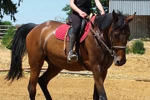 2014-06-07 17.22.49-presta
