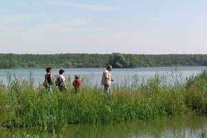 Aquascope Virelles.