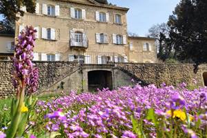 facade fleurs printemps
