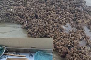 Unyle votre voisine si vous venez_20250808_155807_0009