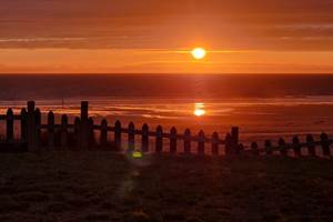 74195bae-c142-499b-b558-dd0b3d578374