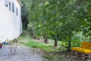 Profitez d'un moment de repos sous le figuier
