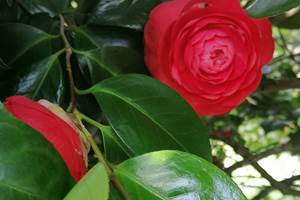 IMG_20240228_234555
