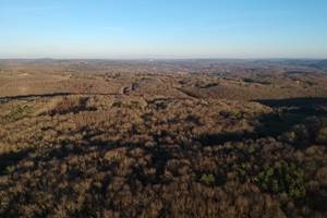 La forêt tout autour