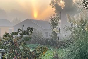 IMG-20251013-WA0003
