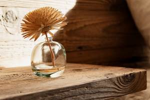 BD_Hebergements_PDLS_BaptisteGousset-55