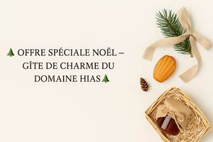Offre Spéciale Noël – Gîte De Charme Du Domaine Hias-photo-news