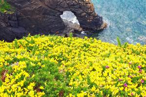 chambre-hotes-bretagne-cap-frehel-dinan