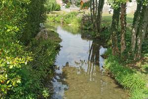 Rivière La Verdonnelle traversant le village de Verdon