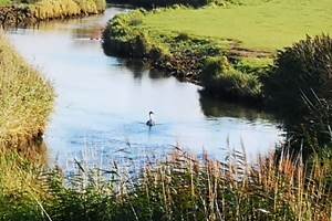 Mont-Calme-Gîte-Criel-Sur-Mer - rando départ du gîte