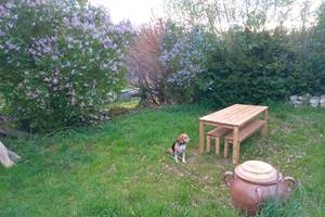 pipistrelles19-chambreshotes-lacdesechemaille-chambre-meymac