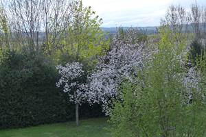 Vue de la chambre de droite à l'étage
