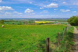 Vue sur la plaine de la Famenne
