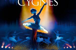 2025 Lac des cygnes ©@Indigo-photo-news