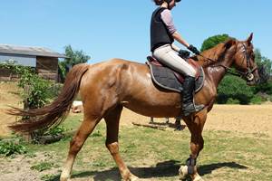 2014-06-07 17.26.48-presta