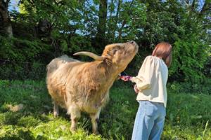 Brossage Mélia touriste