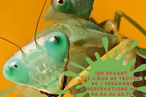 betes de sexe-presta