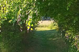 pipistrelles19-chambreshotes-lacdesechemaille-doucheitalienne-meymac