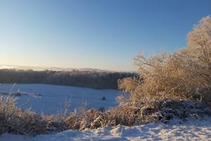 vue du gîte