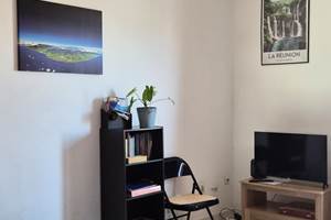 T2 Escale Sudiste, séjour, ventilateur plafond