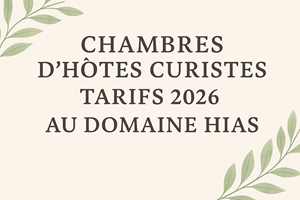 Chambres d’hôtes Curistes avec espace convivial au Domaine Hias-photo-news