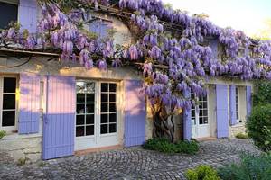 Camping à la ferme Camelot — photo 7