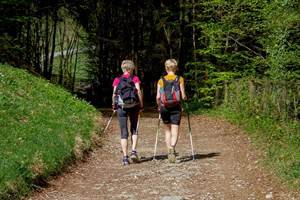 domaine de pelouaille_ saint_jacques_compostelle