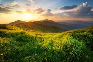 le printemps dans le massif des vosges