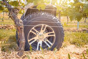 Balade classique en gyropode ou trottinette électrique dans le vignoble