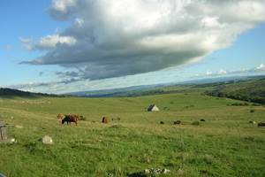 Des paysages grandioses !