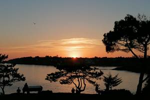 IMG_20240228_233338