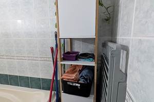 T2 Frangipanier , meuble et plante salle de bain