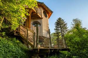 cabanes dans les arbres vosges