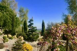 1 vue sur le jardin au printemps