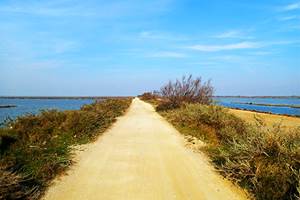 Sans titre-photo-news