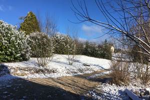 Pipistrelles19-chambredhotes-gite-meymac-lacsechemaille