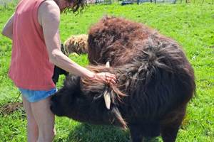 Des câlins et encore des câlins!